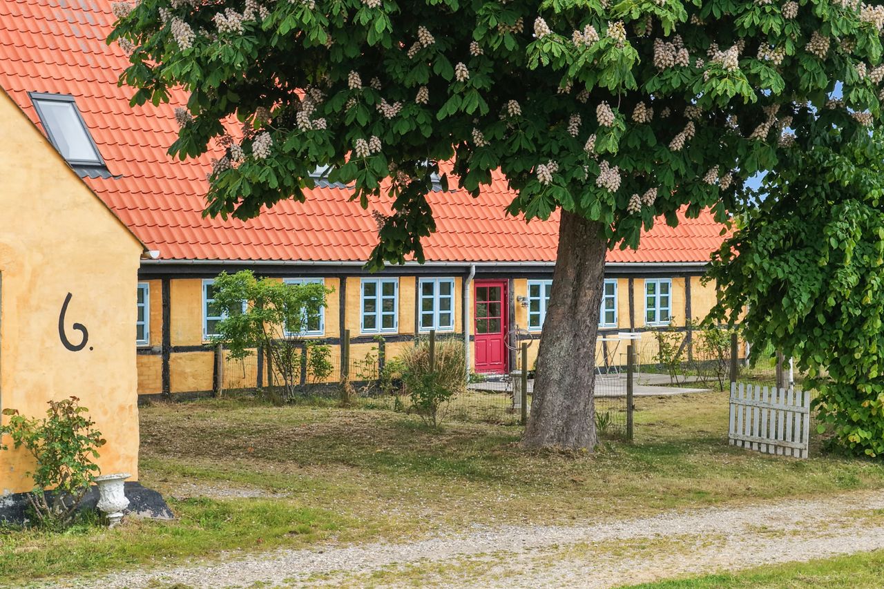image 02