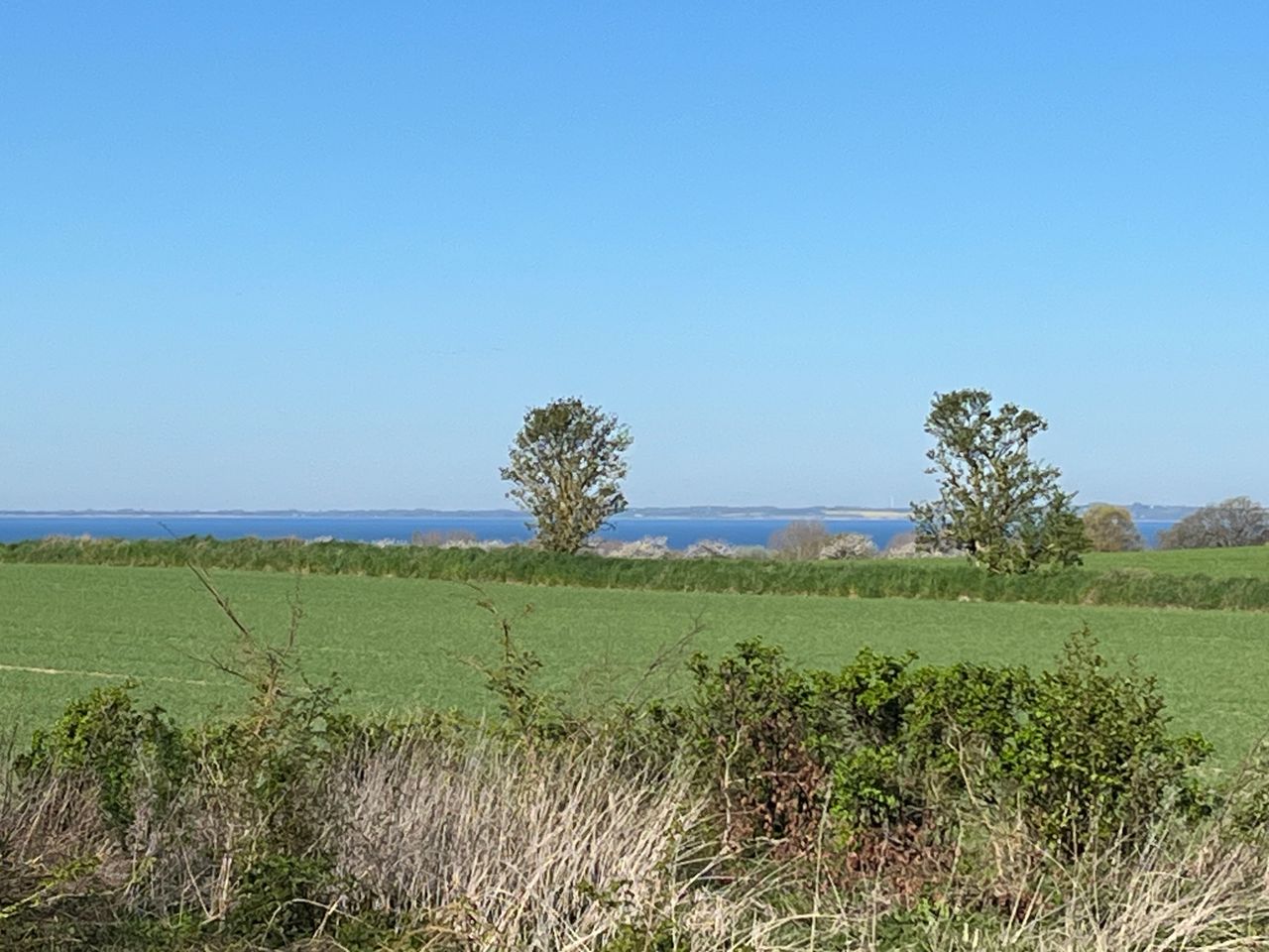 image 02